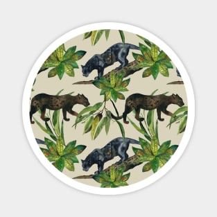 Wild cats Magnet